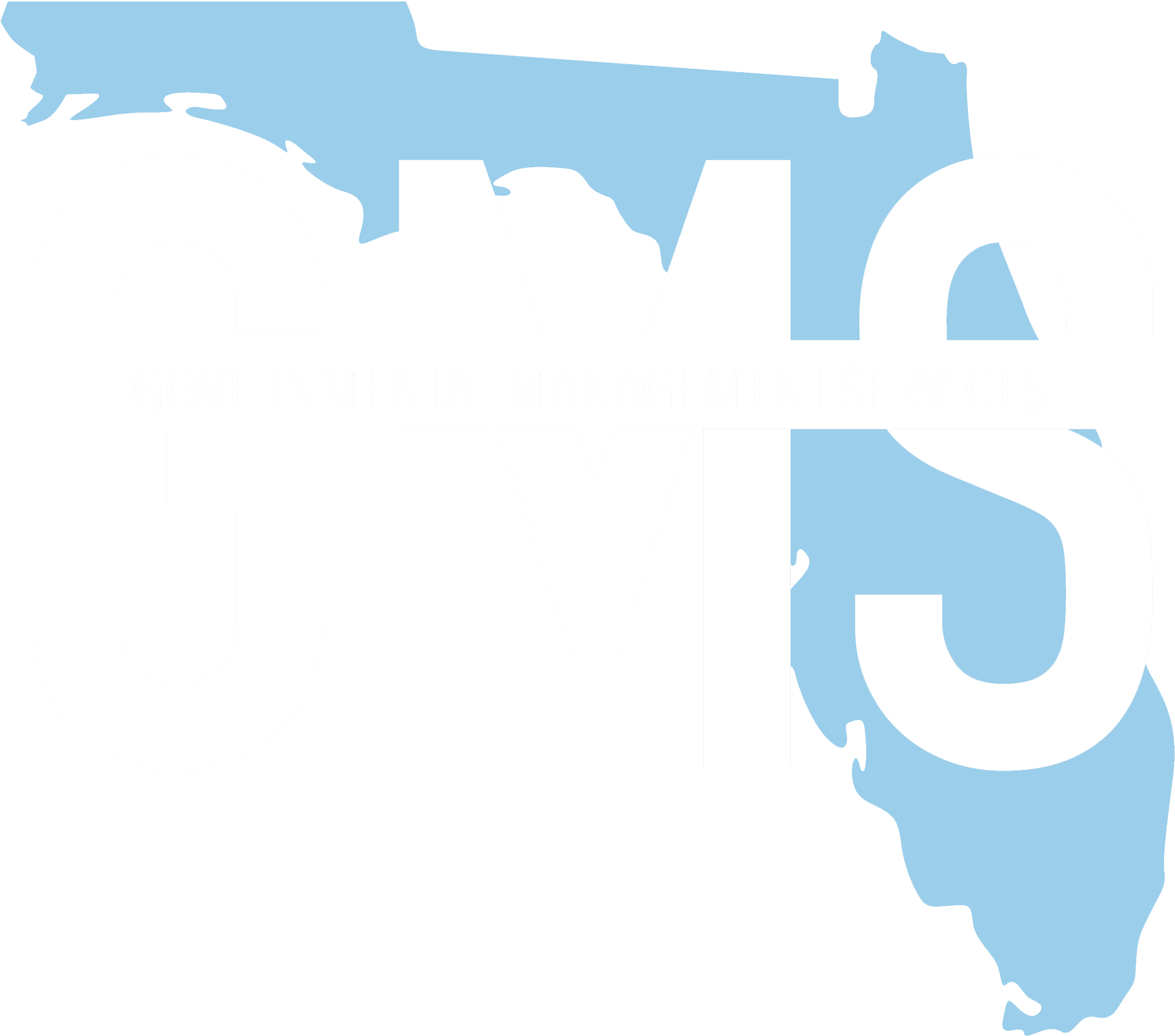 Governmental Management Services