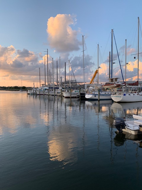 Boats in a marina.